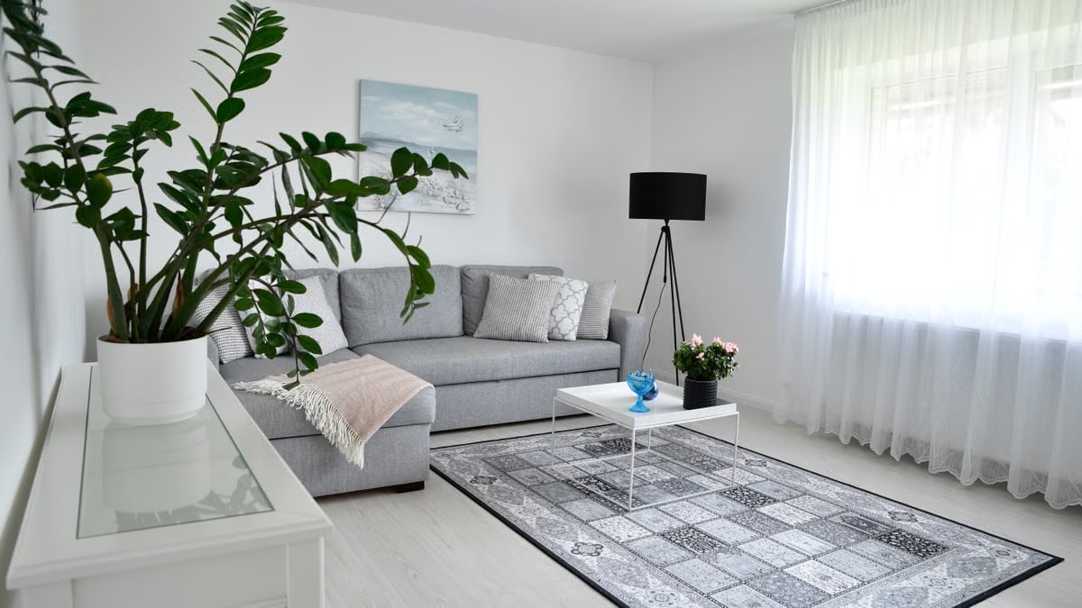 Bright Scandinavian-style living room with gray sofa, houseplants, and cozy decor.